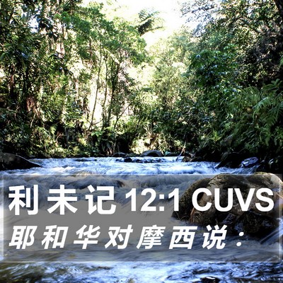 利 未 记 12:1 CUVS Bible Verse Image