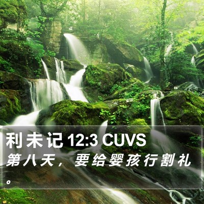 利 未 记 12:3 CUVS Bible Verse Image