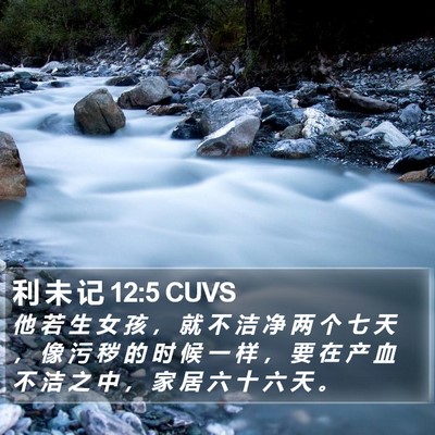 利 未 记 12:5 CUVS Bible Verse Image