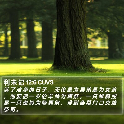 利 未 记 12:6 CUVS Bible Verse Image