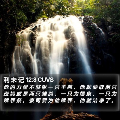 利 未 记 12:8 CUVS Bible Verse Image