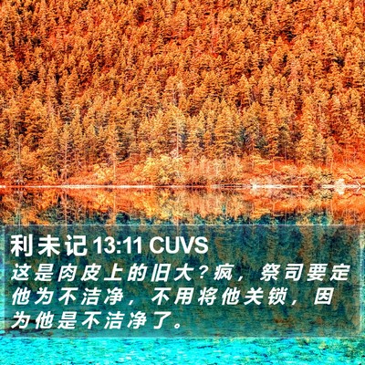 利 未 记 13:11 CUVS Bible Verse Image