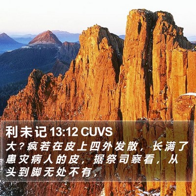 利 未 记 13:12 CUVS Bible Verse Image