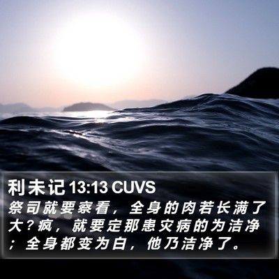 利 未 记 13:13 CUVS Bible Verse Image