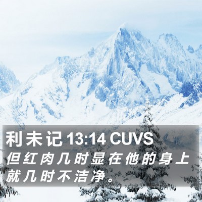 利 未 记 13:14 CUVS Bible Verse Image