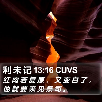 利 未 记 13:16 CUVS Bible Verse Image