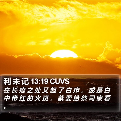 利 未 记 13:19 CUVS Bible Verse Image