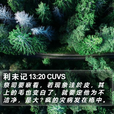 利 未 记 13:20 CUVS Bible Verse Image