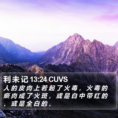 利 未 记 13:24 CUVS Bible Verse Image