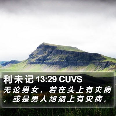 利 未 记 13:29 CUVS Bible Verse Image