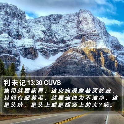 利 未 记 13:30 CUVS Bible Verse Image