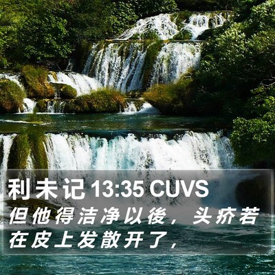 利 未 记 13:35 CUVS Bible Verse Image