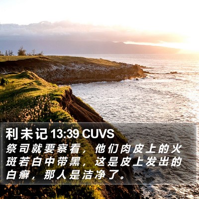 利 未 记 13:39 CUVS Bible Verse Image