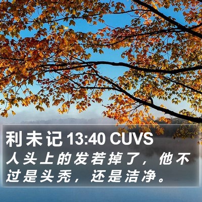 利 未 记 13:40 CUVS Bible Verse Image