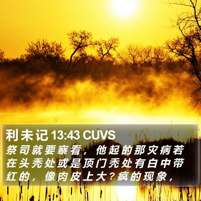 利 未 记 13:43 CUVS Bible Verse Image