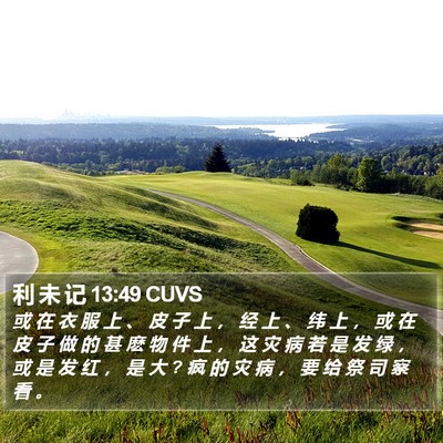 利 未 记 13:49 CUVS Bible Verse Image