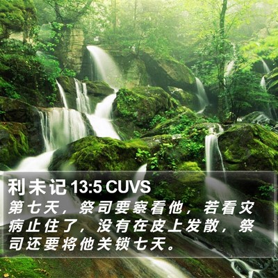 利 未 记 13:5 CUVS Bible Verse Image