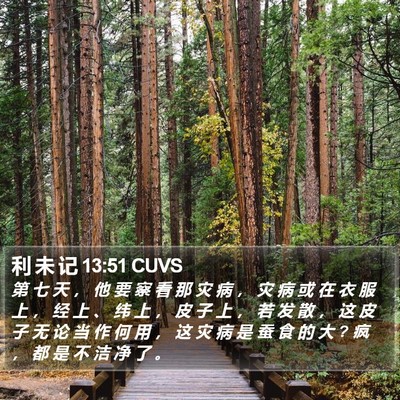 利 未 记 13:51 CUVS Bible Verse Image