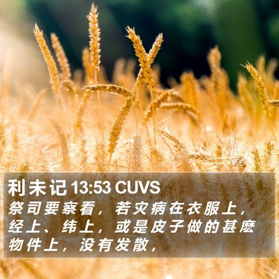 利 未 记 13:53 CUVS Bible Verse Image