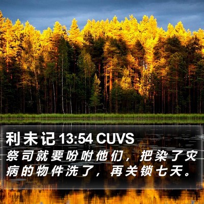 利 未 记 13:54 CUVS Bible Verse Image