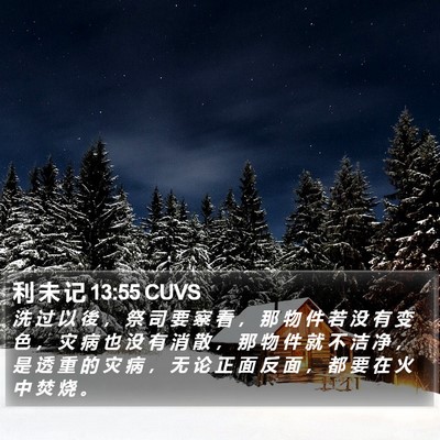 利 未 记 13:55 CUVS Bible Verse Image