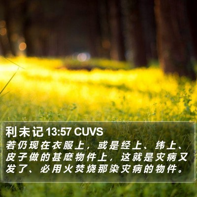 利 未 记 13:57 CUVS Bible Verse Image