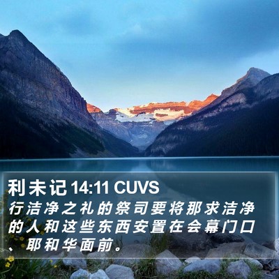 利 未 记 14:11 CUVS Bible Verse Image