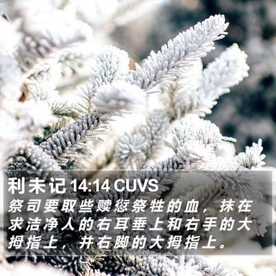 利 未 记 14:14 CUVS Bible Verse Image