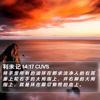 利 未 记 14:17 CUVS Bible Verse Image