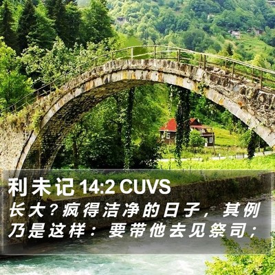 利 未 记 14:2 CUVS Bible Verse Image