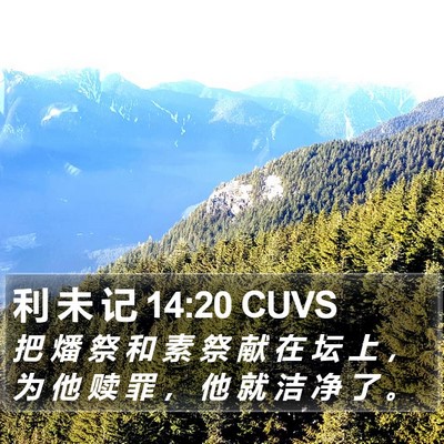 利 未 记 14:20 CUVS Bible Verse Image