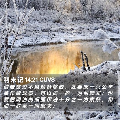利 未 记 14:21 CUVS Bible Verse Image