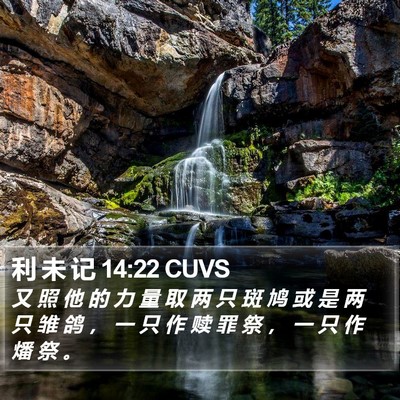 利 未 记 14:22 CUVS Bible Verse Image