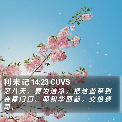 利 未 记 14:23 CUVS Bible Verse Image