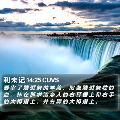 利 未 记 14:25 CUVS Bible Verse Image