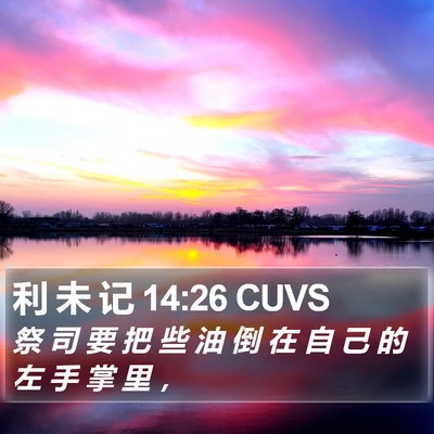 利 未 记 14:26 CUVS Bible Verse Image