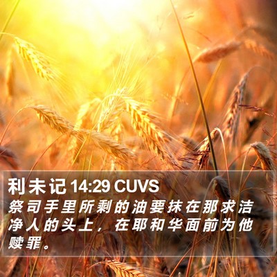 利 未 记 14:29 CUVS Bible Verse Image
