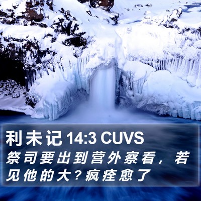 利 未 记 14:3 CUVS Bible Verse Image