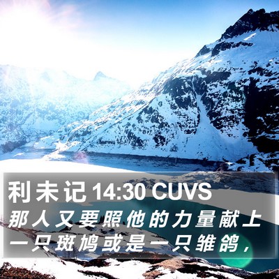 利 未 记 14:30 CUVS Bible Verse Image