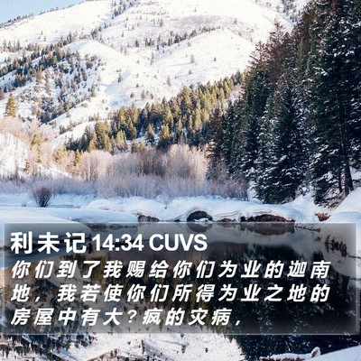 利 未 记 14:34 CUVS Bible Verse Image