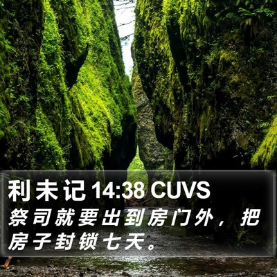 利 未 记 14:38 CUVS Bible Verse Image