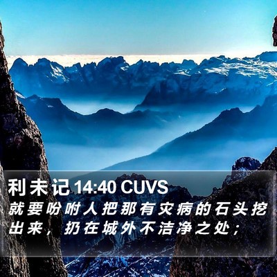 利 未 记 14:40 CUVS Bible Verse Image