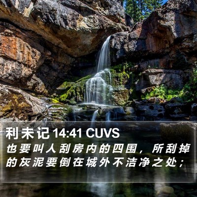 利 未 记 14:41 CUVS Bible Verse Image