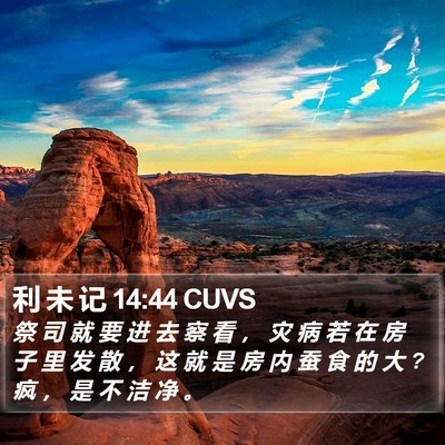 利 未 记 14:44 CUVS Bible Verse Image