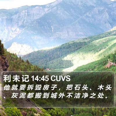 利 未 记 14:45 CUVS Bible Verse Image
