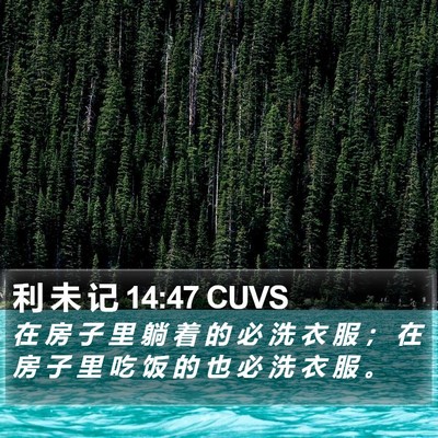 利 未 记 14:47 CUVS Bible Verse Image