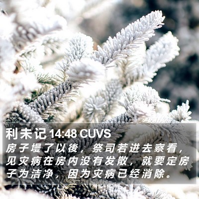 利 未 记 14:48 CUVS Bible Verse Image