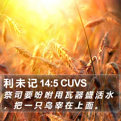 利 未 记 14:5 CUVS Bible Verse Image