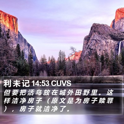 利 未 记 14:53 CUVS Bible Verse Image