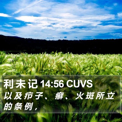 利 未 记 14:56 CUVS Bible Verse Image